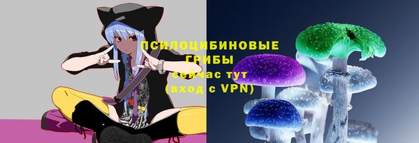 гидра Балахна