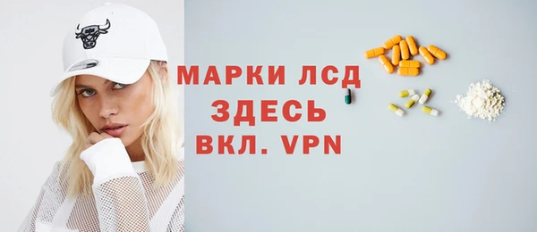 прущие грибы Баксан