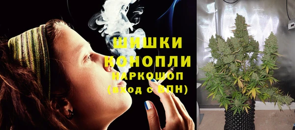 прущие грибы Баксан