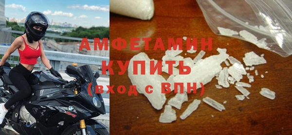 прущие грибы Баксан